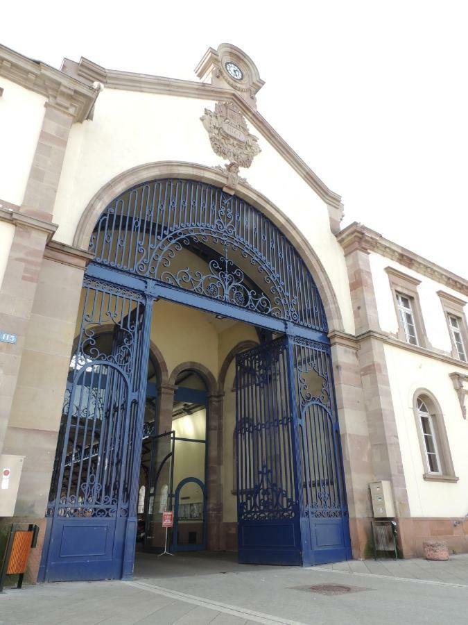 Appart'Azur Haguenau - Centre Grand'Rue - Logements Entiers Pour Voyageur Pro Exteriér fotografie
